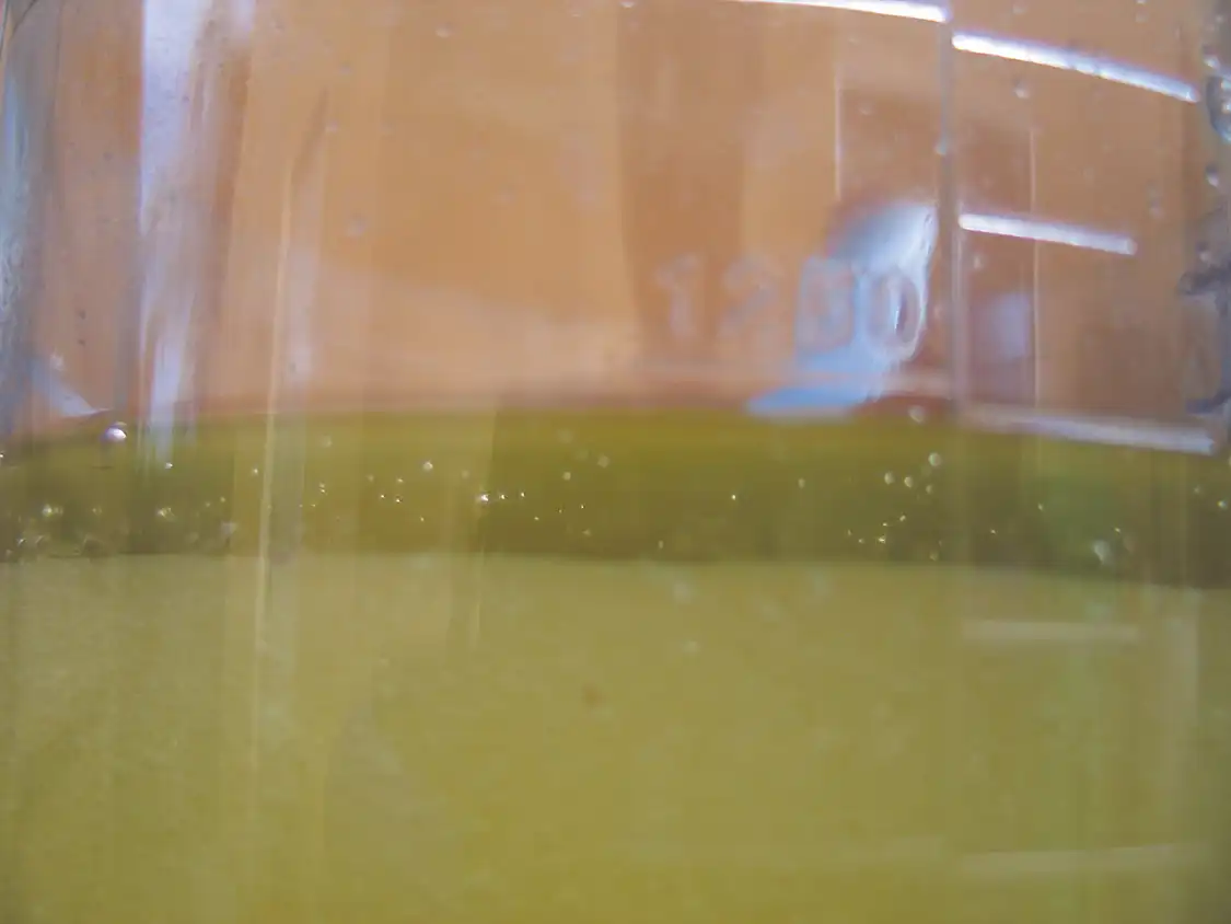 8. Shown is the separation of the glycerin (bottom) and the biofuel (top) after only an hour or so. After the two days have elapsed, the layers will have greatly increased. Open the container and pour off the biofuel that is floating on the top of the glycerin.