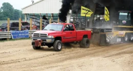 DW IIPULL LEAD