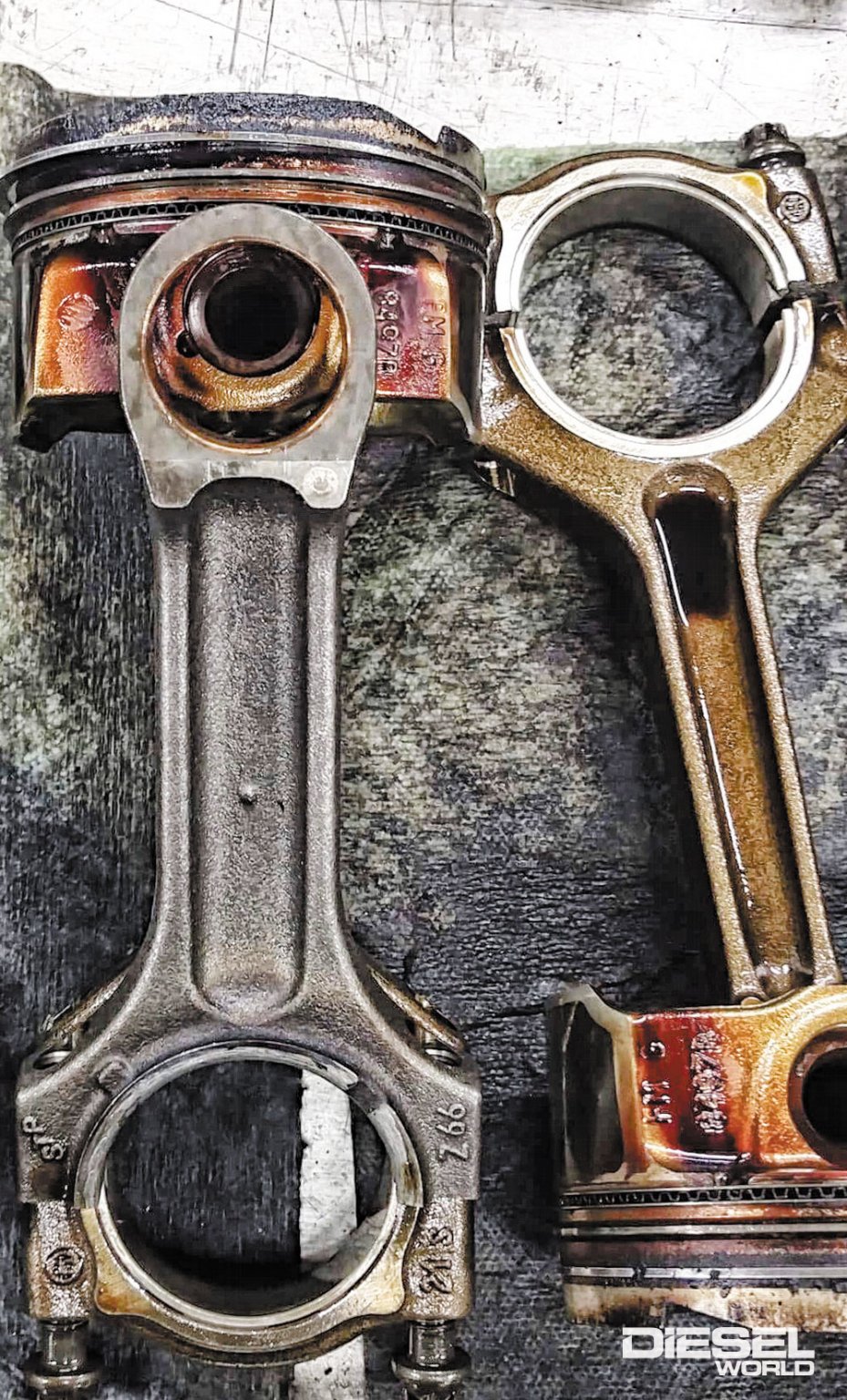 BMW M57 Diesel World