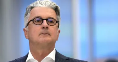 Former Audi Chief Pleads Guilty